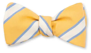 Yellow Dudley Stripes Bow Tie - B5447